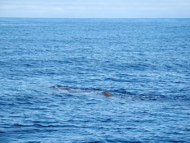 Urlaub in Norwegen 2006